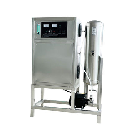 équipement de désinfection de l'eau 100g/h, machine de traitement de l'eau de l'ozone