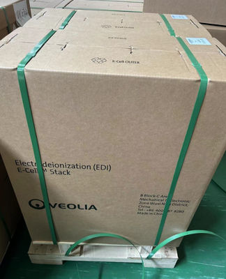 Flux 5,0 M3/H Veolia Suez EDI Piles E-Cell-3X Suez Pour fournir de l'eau ultrapure