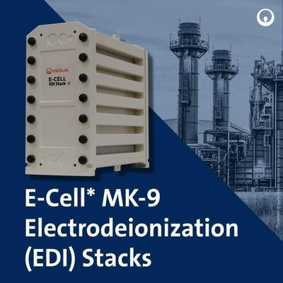 E-Cell MK-9 EDI Stack pour la production d'eau de haute pureté avec une plage de débit de 18,5-44,0 GPM et aucune régénération chimique dans l'acier inoxydable