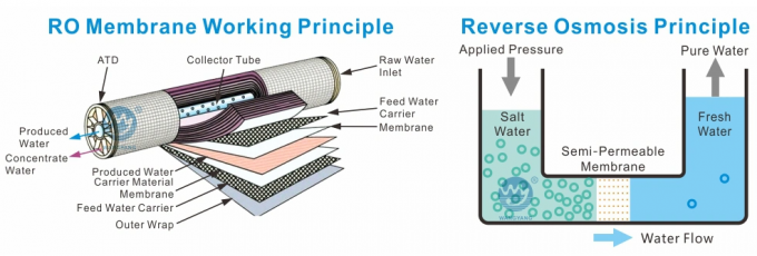 5TPH 7.4kW-380-415V 2xSS304 Réservoirs d'eau saumâtre Usine d'osmose inverse 0